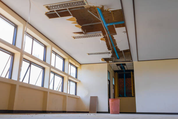 Best Emergency water damage restoration  in Grant, AL