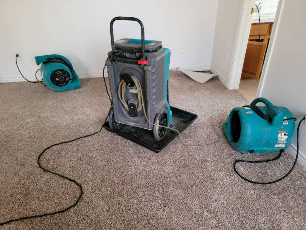  Grant, AL Water damage restoration Pros