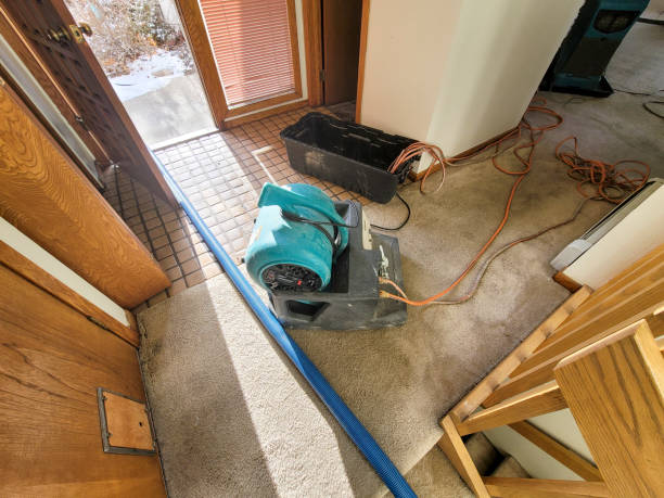 Best Water damage restoration near me  in Grant, AL